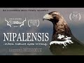 Documentary NIPALENSIS, When Nature goes Wrong