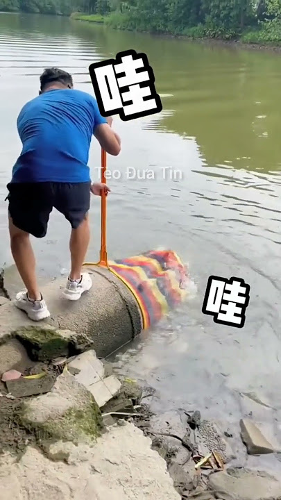Bắt Cá Trong Cống Nước