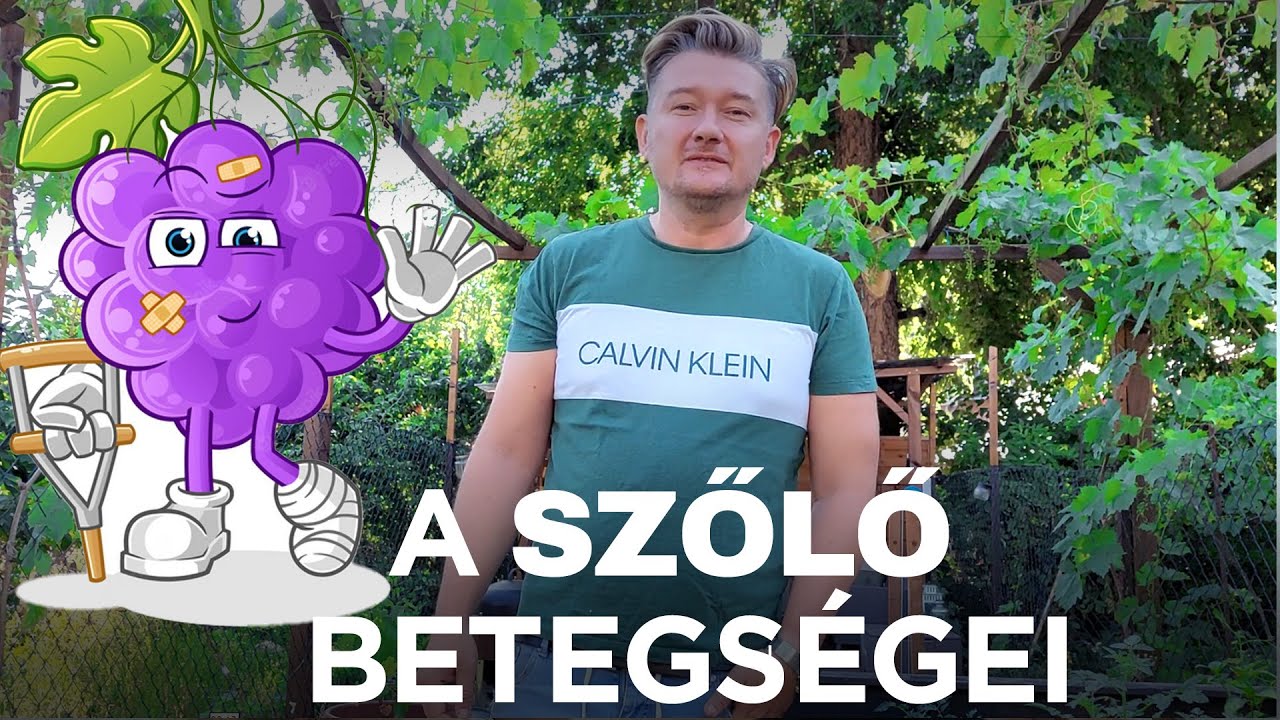 🍇 БОЛЕЗНИ ВИНОГРАДА - ДЛЯ НАЧИНАЮЩИХ - ДЛЯ ПРОДВИНУТЫХ