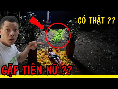 Video: Cách Triệu Hồi Nàng Tiên Răng