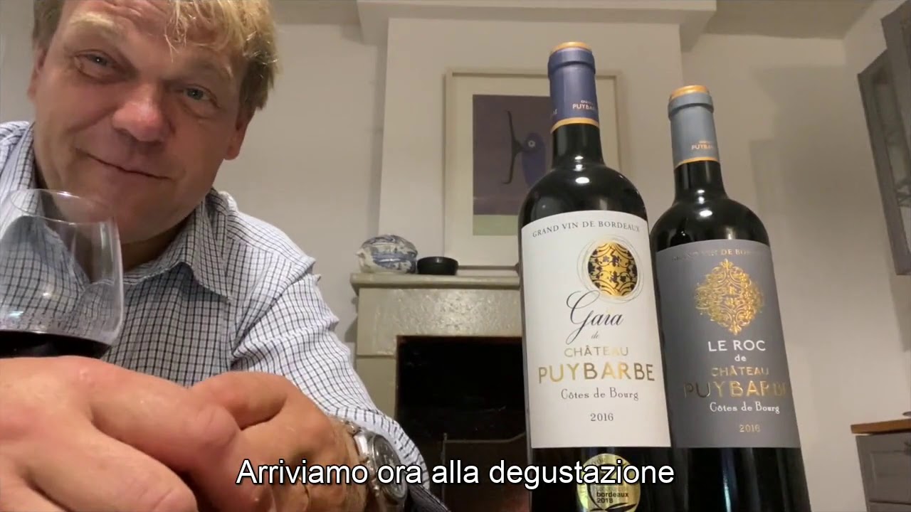 Chateau Puybarbe: Bordeaux della Cotes de Bourg.