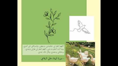 سورة البينة | هاني الرفاعي