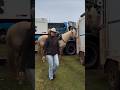 RANCHO DA MOÇA #cowboy #rodeio #fm #cavalo #sertanejo