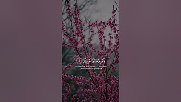 فاصبر صبراً جميلا القارئ #حمزة_بوديب