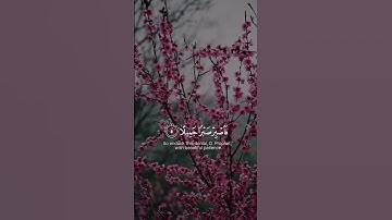 فاصبر صبراً جميلا القارئ #حمزة_بوديب