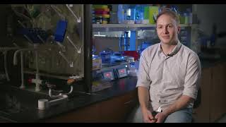 Research at IU School of Medicine: Why is it Important?
