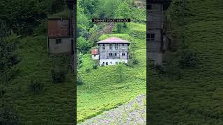 25 Kişi Tek Yürek Yaşanmışlıklar Selam Olsun Maziye Sen Yaşadunmi O Günleri ?