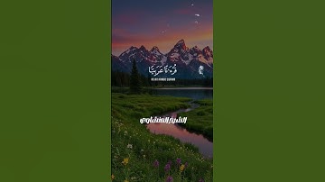 🕊️ من أجمل ما قرأ المنشاوي.. تلاوة من سورة يوسف تريح القلب! #المنشاوي_الباكي