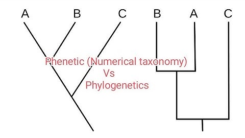Phenetic (Numerical Taxonomy) Vs. Phylogenetics || Taxonomy