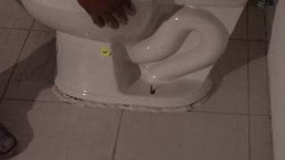 COMO INSTALAR UN WC (TAZA DE BAÑO)