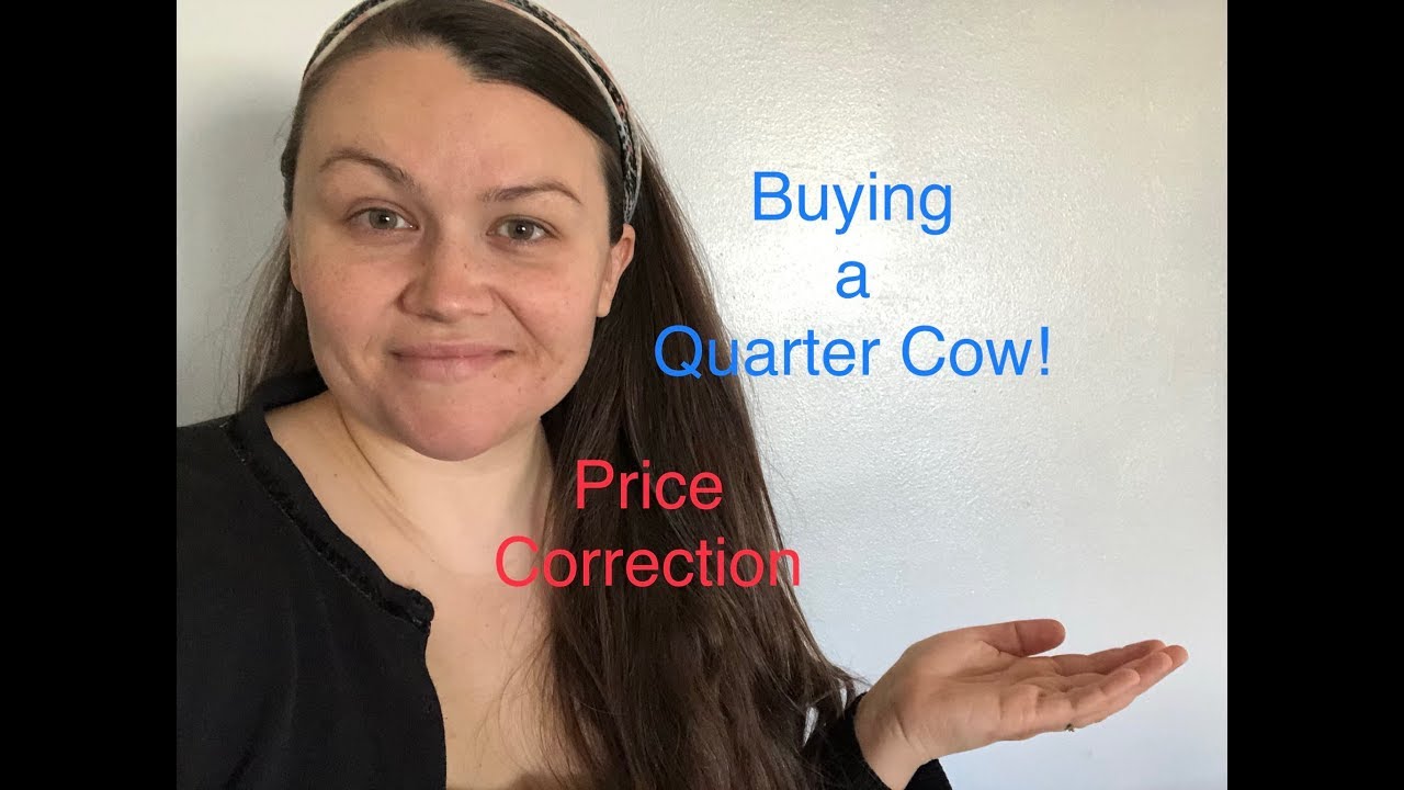 Quarter Cow Price correction!! YouTube