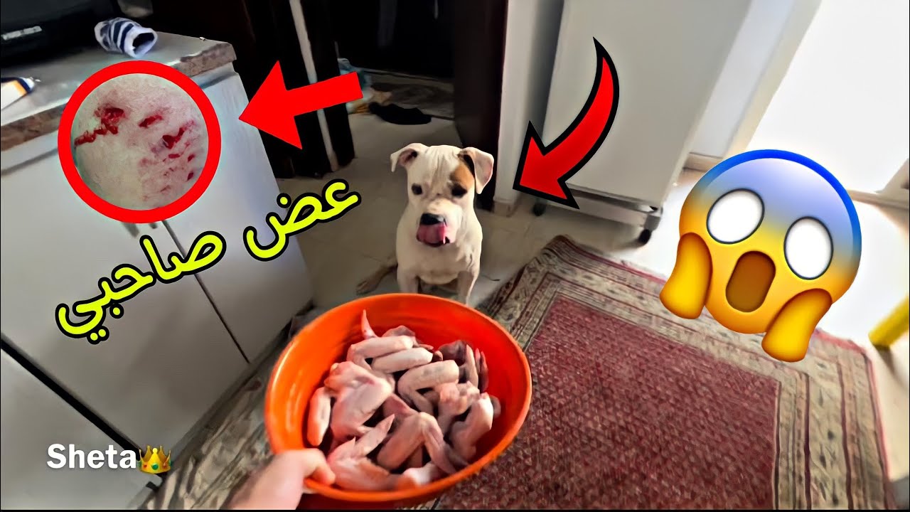 بويكا خرج الشارع لاول مرة بعد الخناقة😳(ونابو المكسور)