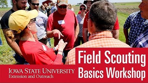 Field Scouting Basics Workshop