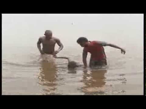 Benin: Secondary School Student Drowns In A Swamp