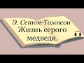 Э. Сетон-Томпсон &quot;Жизнь серого медведя&quot;