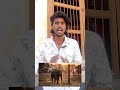 #motivation#tamilmotivation#elephantstory#lifelessons#mindset#tamilshorts #inspiration#youtubeshorts