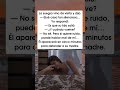 «La suegra tiene el botón del ruido 😅»
