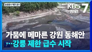 가뭄에 메마른 강원 동해안…강릉 제한 급수 시작 / KBS  2024.08.14.