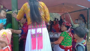 Yos hav zoov dib qaib qus thiab noj tshoob 2020