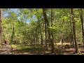 Peaceful Walk at Lake Livingston State Park, Randy “Windtalker” Motz, Native American Flute