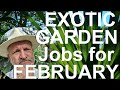 Tropical gardens uk  exotic garden jobs for february