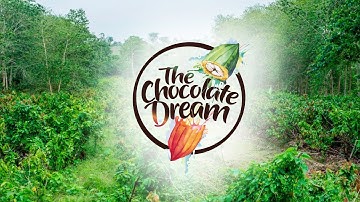 Sustainable Chocolate: Environmental impact in The Chocolate Dream