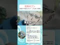 「お前が降りろ」格上のゲンスルーに動じないゴンの強い意志