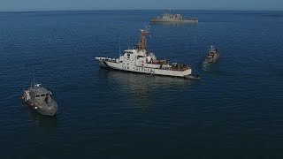 Sea Shepherd finds 3 dead vaquitas in 3 weeks