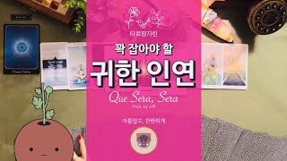 [타로카드] 꽉 잡아야 할 귀한 인연
