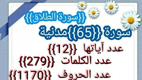 سورة الطلاق كاملة برواية ورش عن نافع من أجمل الأصوات