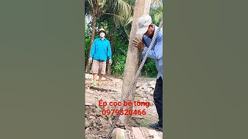 ép cọc bê tông Vĩnh Long đảm bảo chất lượng