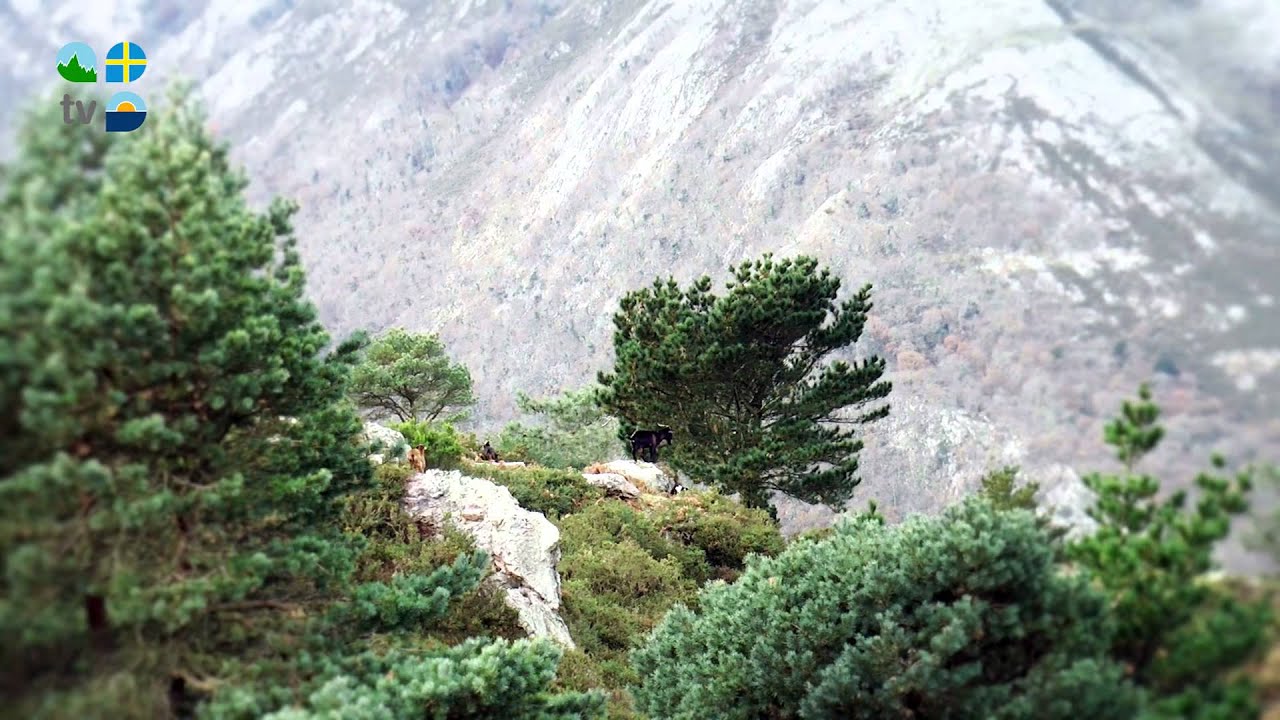 Caravia - Turismo Asturias Televisión