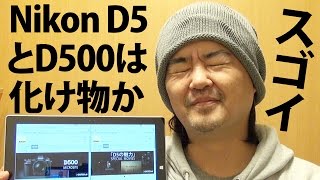 【雑談】ニコンのデジカメ新型機はバケモノか！Nikon D5 / D500 最高ISO感度3280000相当、最大200コマ高速連続撮影【放談】