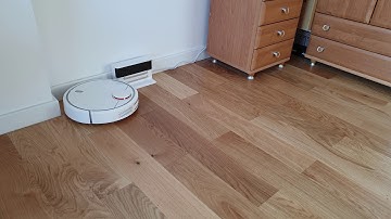 Xiaomi vacuum cleaner (1st gen) with Google Home
