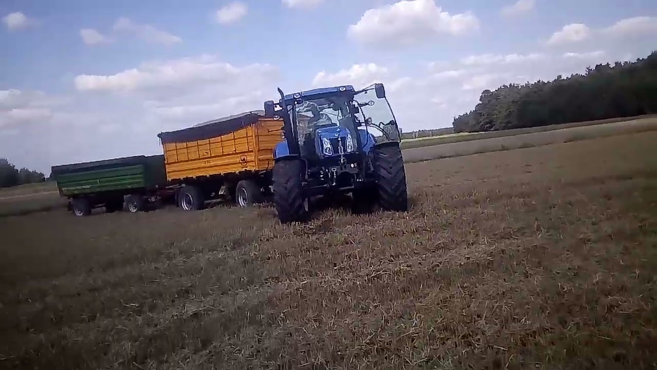 Ciężki wyjazd z pola z dwoma pełnymi przyczepami zboża. New Holland T6030 Elite