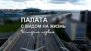 Палата с видом на жизнь