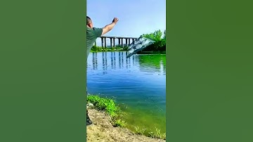 Những Vật Dụng Đa Năng & Tiện ích Trong Đời Sống Hiện Đại #1019