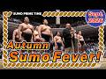 【AUTUMN SUMO FEVER!】 The Championship Chase Begins
