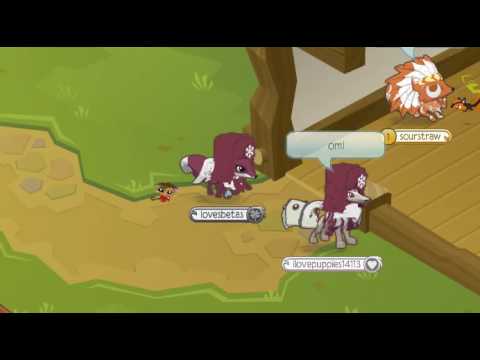 Animal Jam Magenta Box
