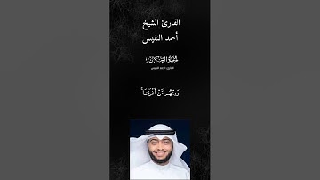سورة العنكبوت بصوت القارئ الشيخ أحمد النفيس قراءة عراقية حزينة