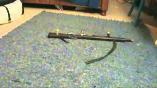 NERF Longstrike Accuracy Test