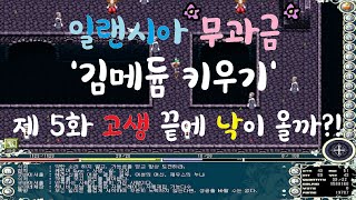 일랜시아 무과금 '김메듐 키우기' 제 5화 고생 끝에 낙이 올까?!