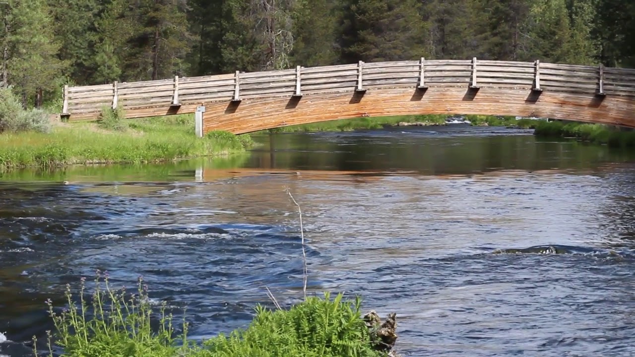 spring creek - YouTube