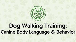 Dog Walking Training: Canine Body Language and Behavior