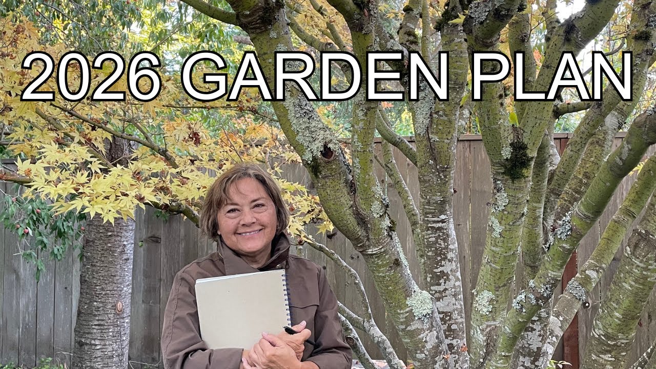 5 шагов к тому, чтобы наконец-то получить сад своей мечты.