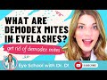 Mites In Your Eyelashes? | Demodex, They Really Grow On You