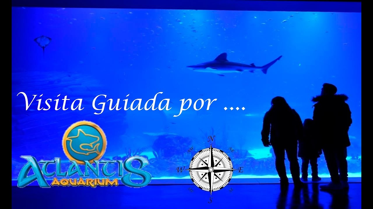 Visita Guiada por Atlantis Aquarium Madrid, Xanadú