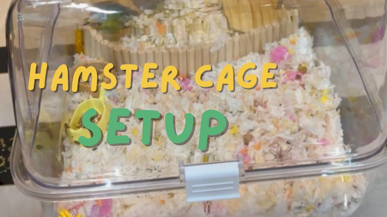 Picture of Setting Up a Cozy Handmade Cage for a Syrian Hamster 🐹 - YouTube