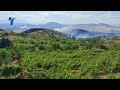 Повреден сопственик на викендичка откако пожарот повторно се разгоре во Штип