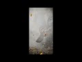 Dust On Your Boots 
